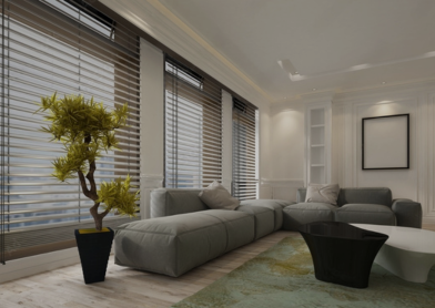 Blinds Revealed: Choose the Best Window Treatments for Your Home